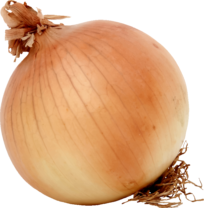 Download Free Onion Images - Onion Png (787x800), Png Download