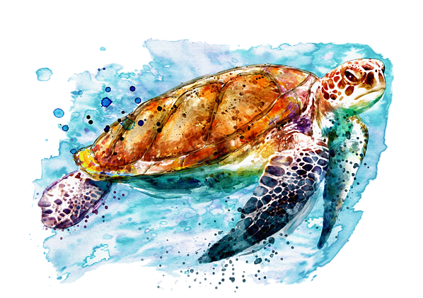 Bleed Area May Not Be Visible - Marian Voicu Artist (600x463), Png Download