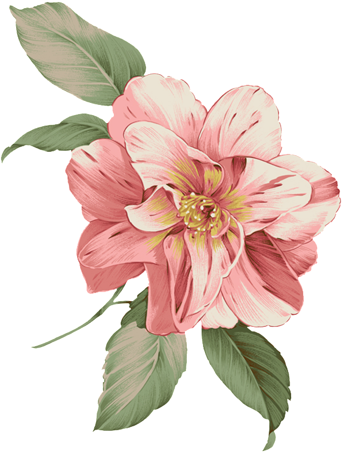 Flower Bucket Png - Flores Para Cartão De Visita Em Png (1024x1024), Png Download