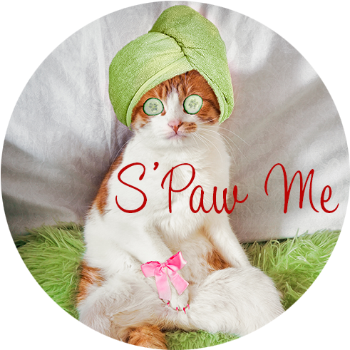 Regina Cat Spa - Spa Day (500x500), Png Download