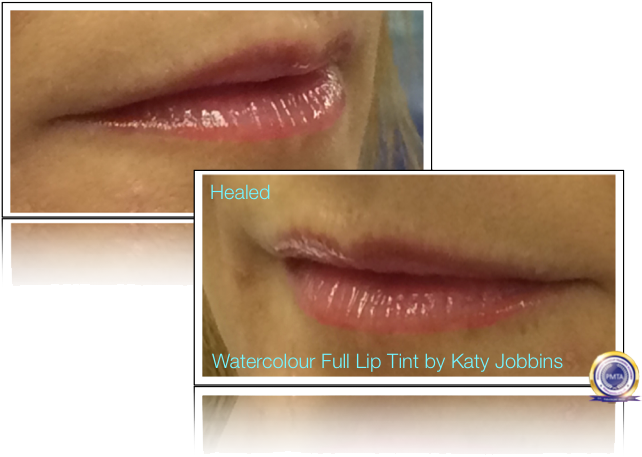 42 4 Katy Jobbins Permanent Makeup Watercolor Full - Lip (665x523), Png Download