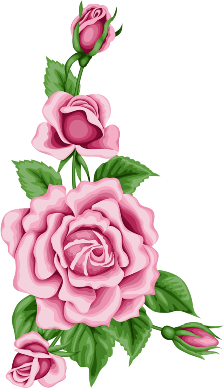 Yandex - Pink Flower Border Png (446x772), Png Download
