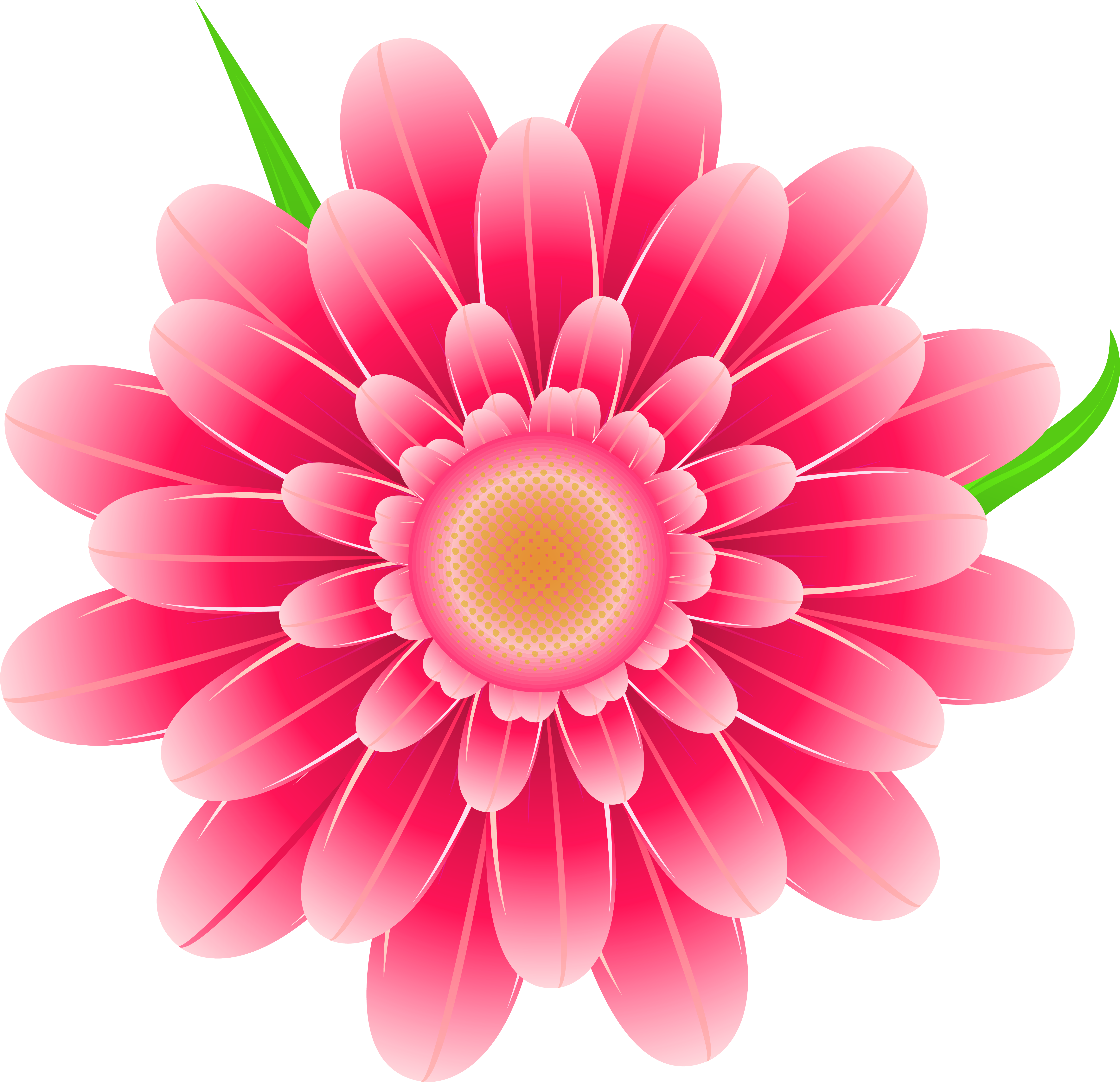 Pink Flowers Png (5910x5708), Png Download