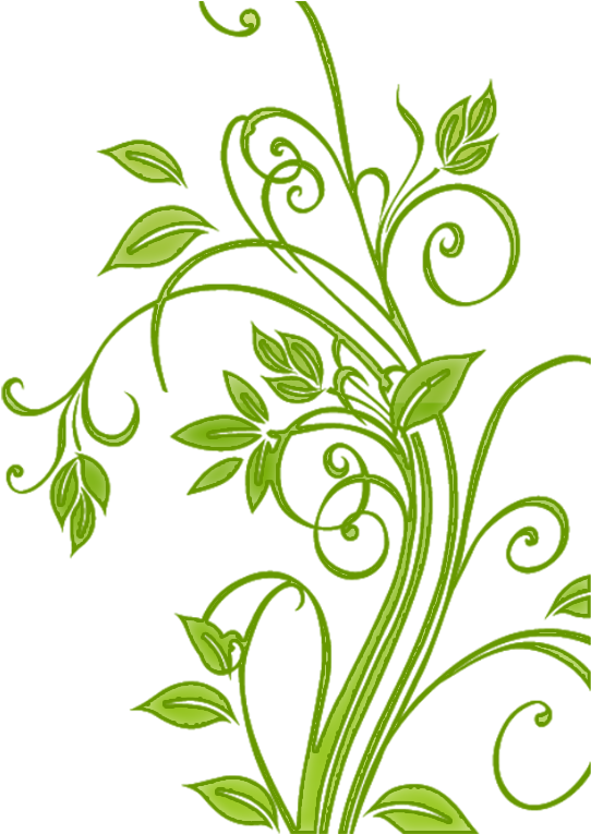Classy Design Swirls Clipart - Leaf Flower Vector Png (1024x768), Png Download