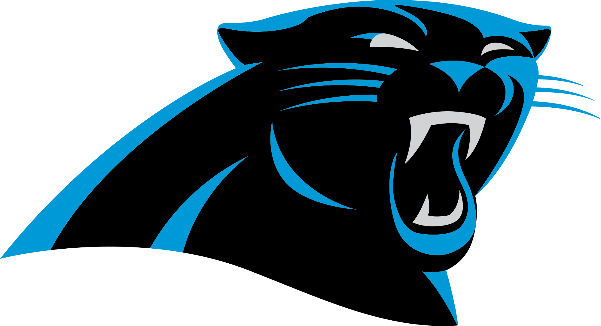 All Official National Football League Team Logos Www - Carolina Panthers Png (2000x1087), Png Download