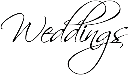 Wedding Png Image Transparent - Wedding Png (500x300), Png Download