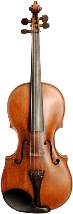 Violin Png (451x722), Png Download