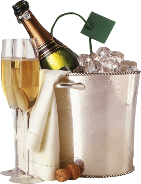 Bottle Of Champagne Png Black And White Download - Champagne Ice Bucket Png (460x600), Png Download