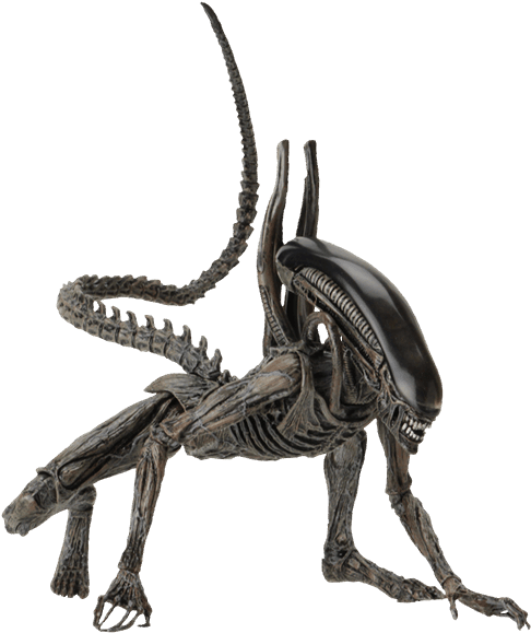 Xenomorph Alien Png - Alien Xenomorph Action Figure (600x600), Png Download