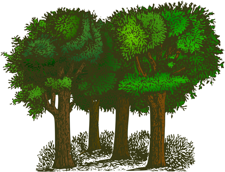 Download Forest Cartoon Clipart - Trees Of Pride By G. K. Chesterton PNG  Image with No Background 