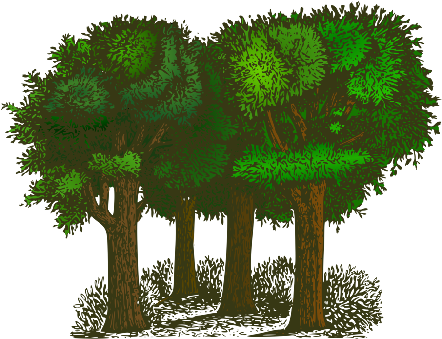 Download Forest Cartoon Clipart - Trees Of Pride By G. K. Chesterton PNG Image with No Background Download Forest Cartoon Clipart - Trees Of Pride By G. K. Chesterton PNG Image with No Background