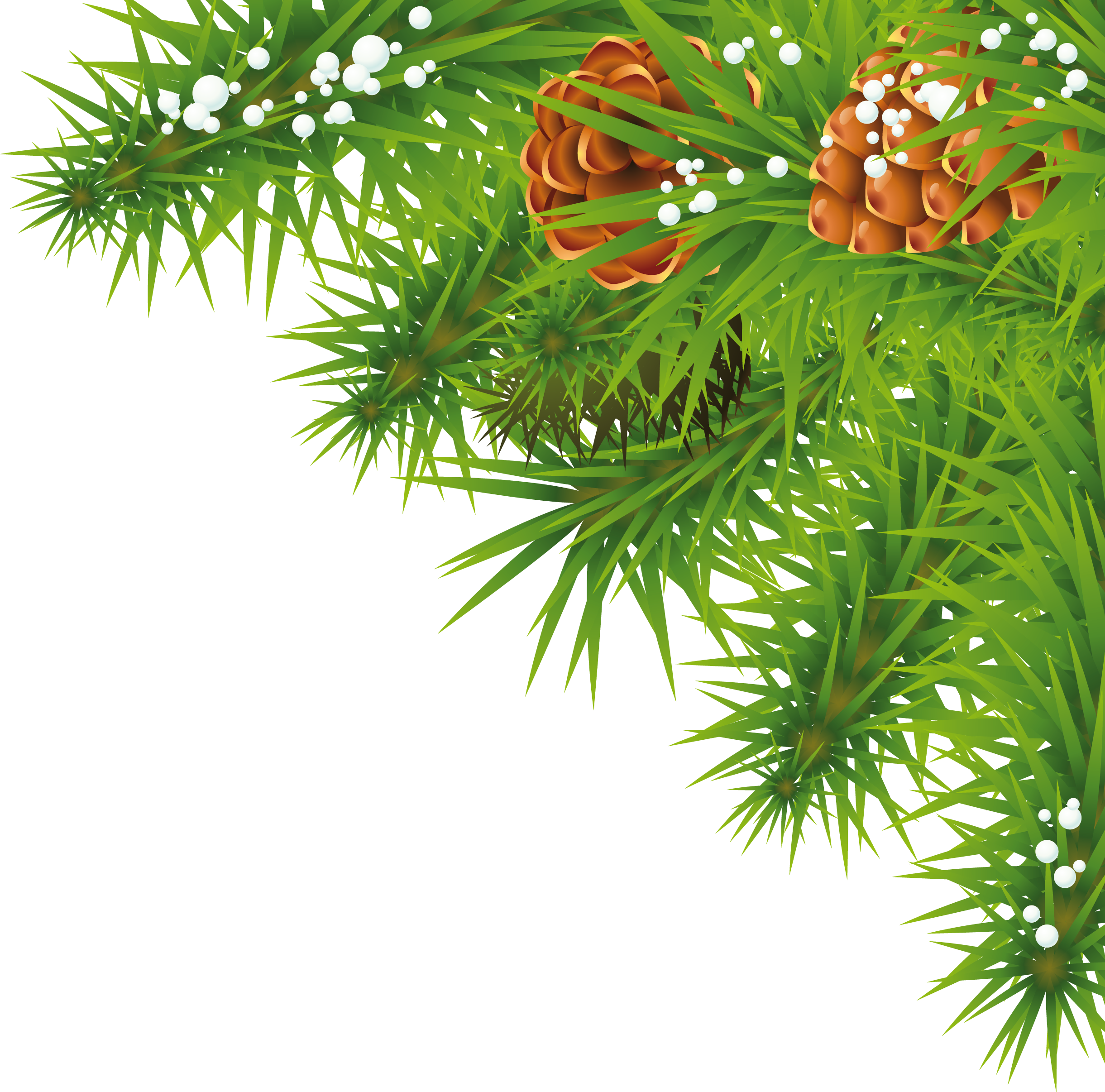 Download Fir Tree Branch Png Image Nature Picsart Png Hd Png Image With No Background Pngkey Com