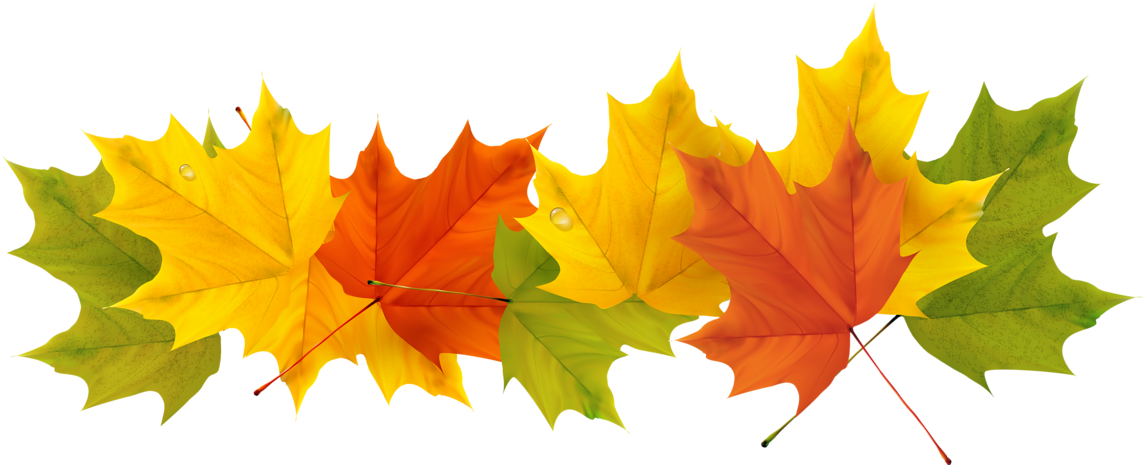 Fall Leaves Border Transparent (1195x503), Png Download