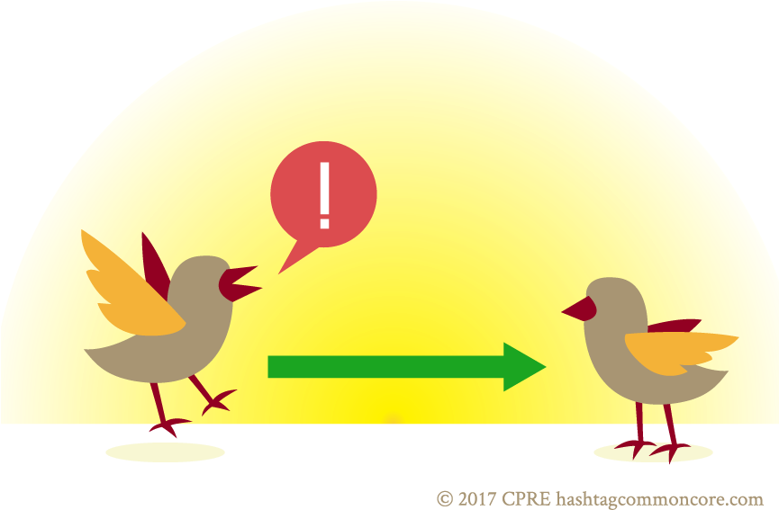 Twitter - Reciprocal Relationship (864x576), Png Download