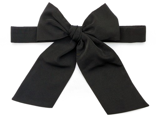 Black Bow Ribbon Png Picture - Portable Network Graphics (500x500), Png Download