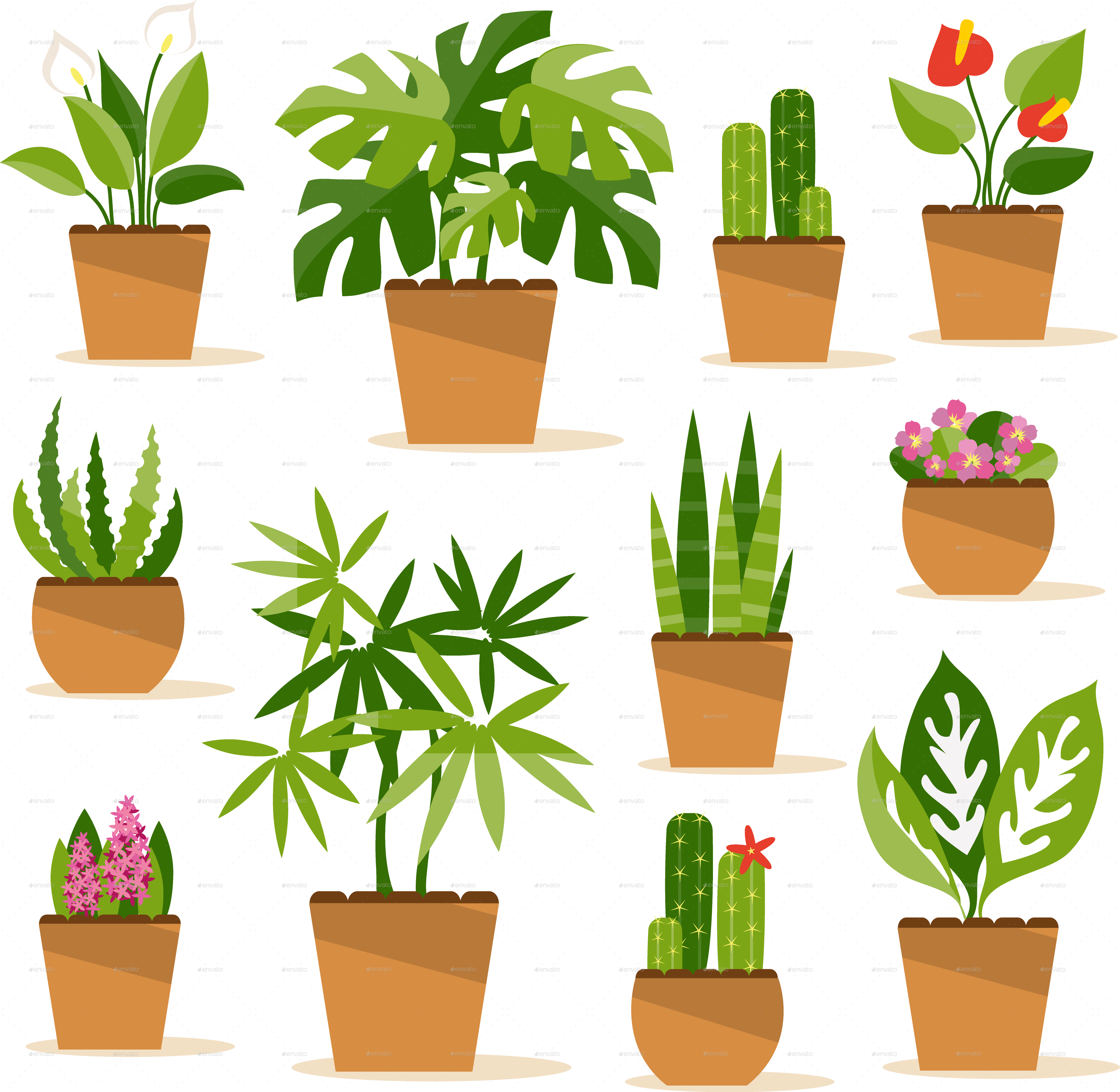 Indoor Potted Plant Png - Indoor Plants (3987x3886), Png Download