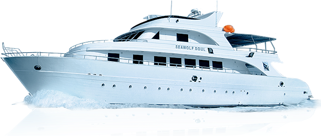 Yacht Png Image - Яхта Пнг (666x277), Png Download