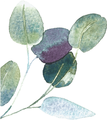 Artist's Impression Only - Acacia Greggii (408x565), Png Download