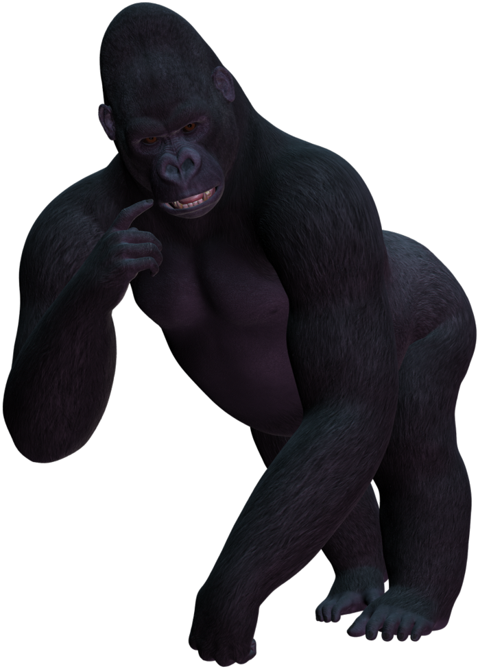 Gorilla Png Image - Gorilla Transparent Background (1024x1024), Png Download