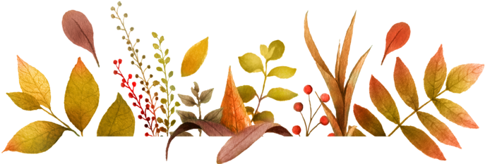 Thanksgiving Border Png (784x251), Png Download