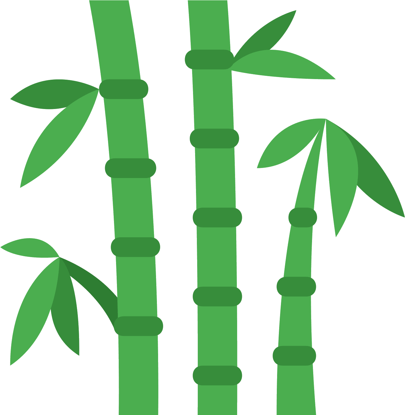 Bamboo Leaf Png Clipart - Bamboo Clip Art Png (1024x1024), Png Download