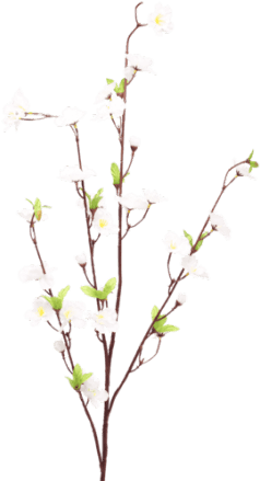 Cherry Blossom White - Twig (300x450), Png Download