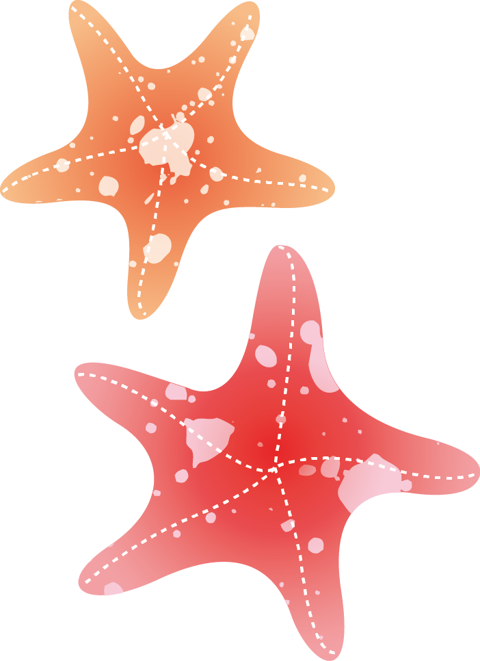 Starfish Drawing Watercolor Painting - Watercolor Starfish (702x966), Png Download
