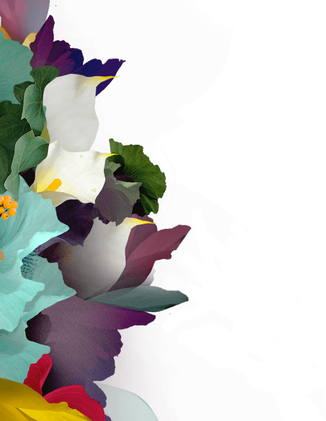 Wilderness Festival (656x847), Png Download