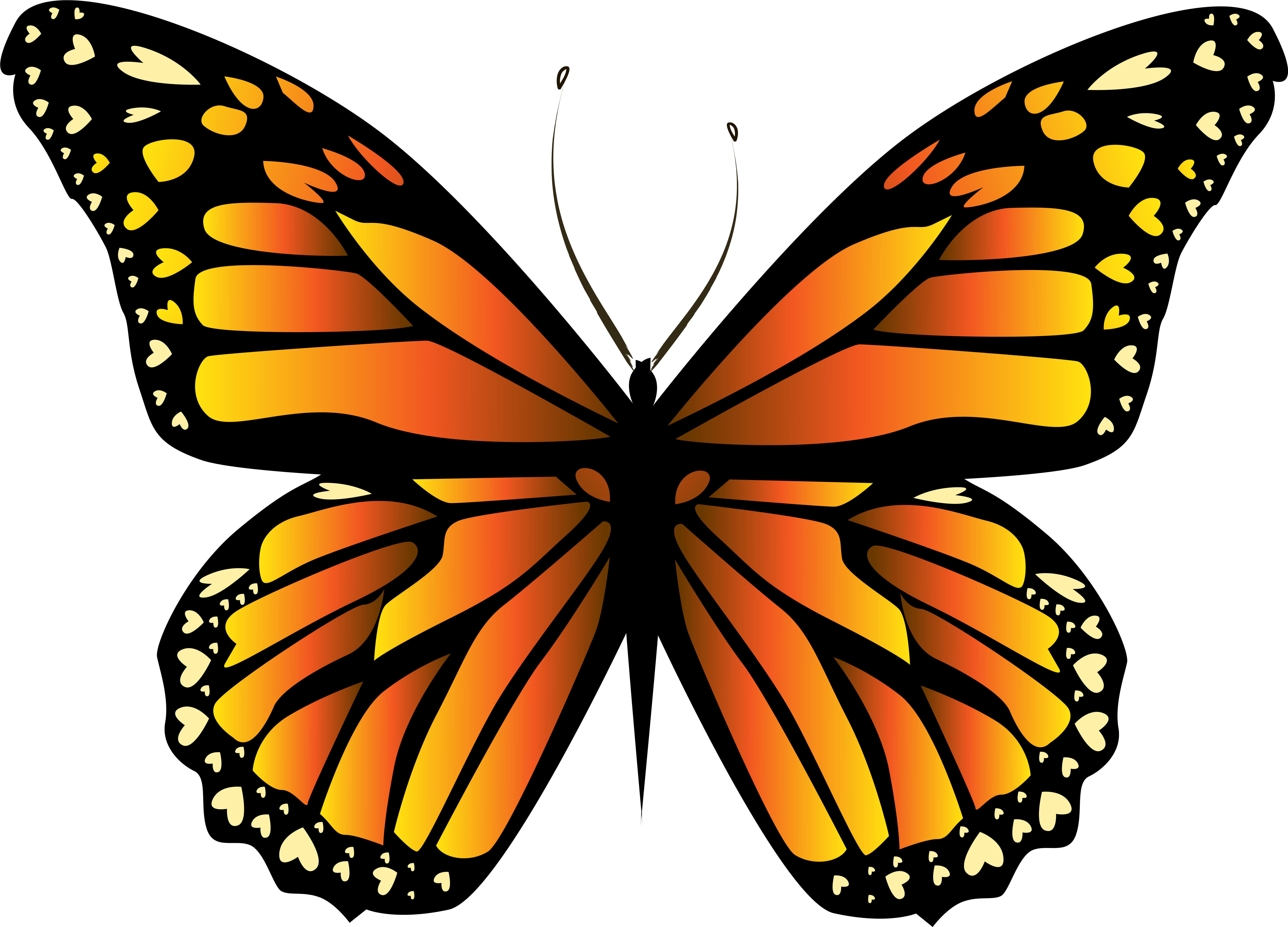Butterflies Clipart Orange (6423x4763), Png Download