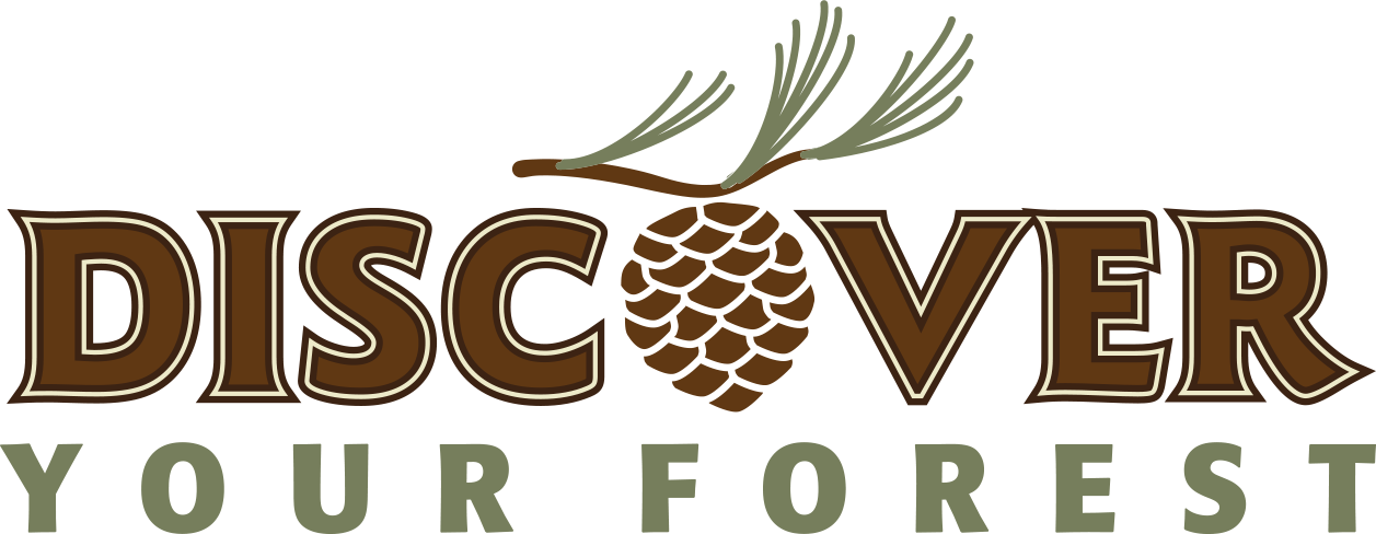 Open Menu - Illustration (1257x488), Png Download