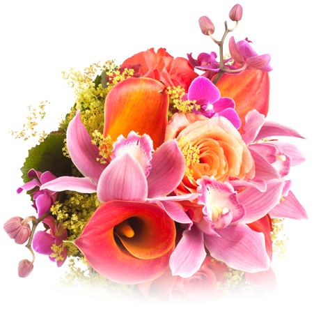 La Multi Ani Ella (451x459), Png Download