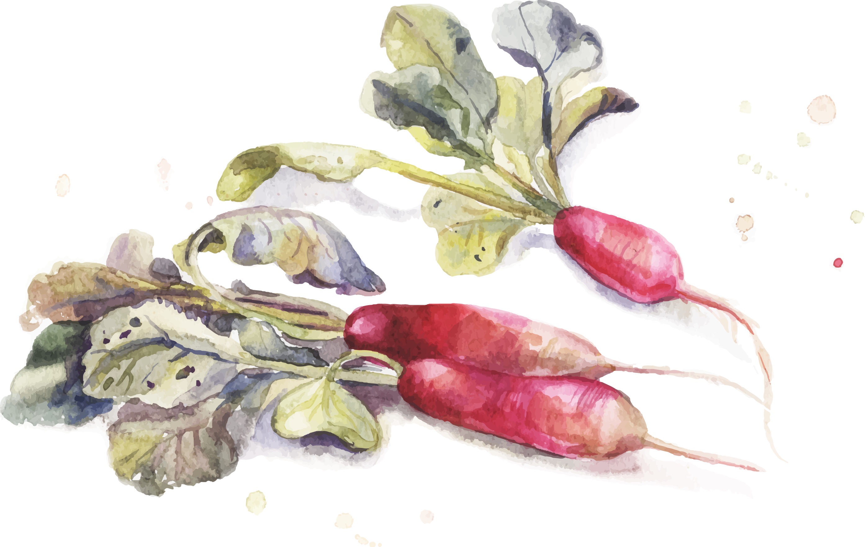 Watercolor Painting Drawing - Watercolor Painting (2787x1762), Png Download