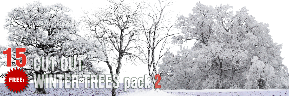 Free Winter Trees Png Pack - Winter Tree Cutout Png (1200x400), Png Download