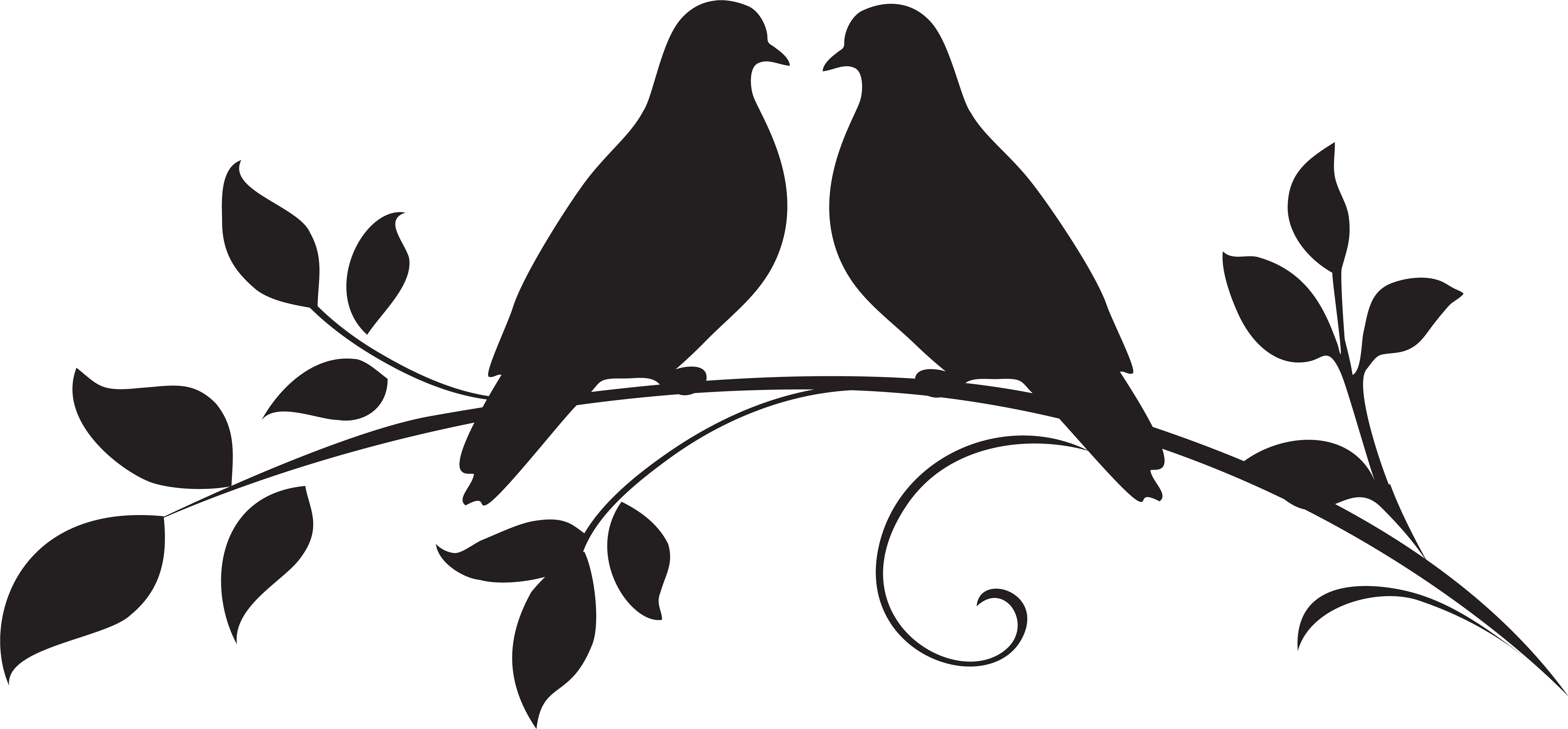 Dove Clipart Silhouette - Love Birds Silhouette Png (8000x3826), Png Download