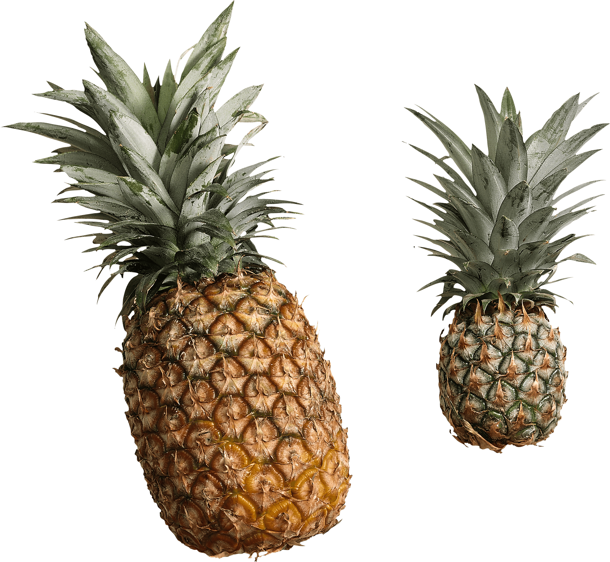Pineapple Png (1940x1785), Png Download