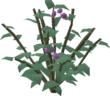 Cadava Bush - Rose (434x376), Png Download