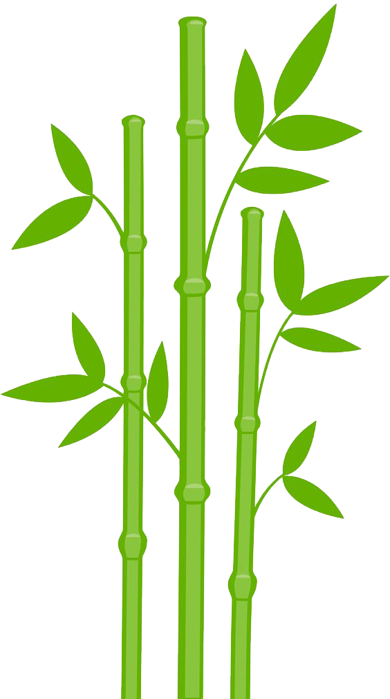 Download Bamboo Png Designs Bamboo Clipart Png Image With No Background Pngkey Com