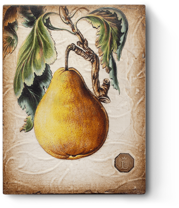 Guitar Png (720x720), Png Download