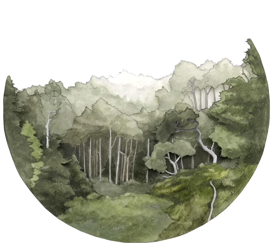 Salt Point State Park, Ca, (1000x1000), Png Download