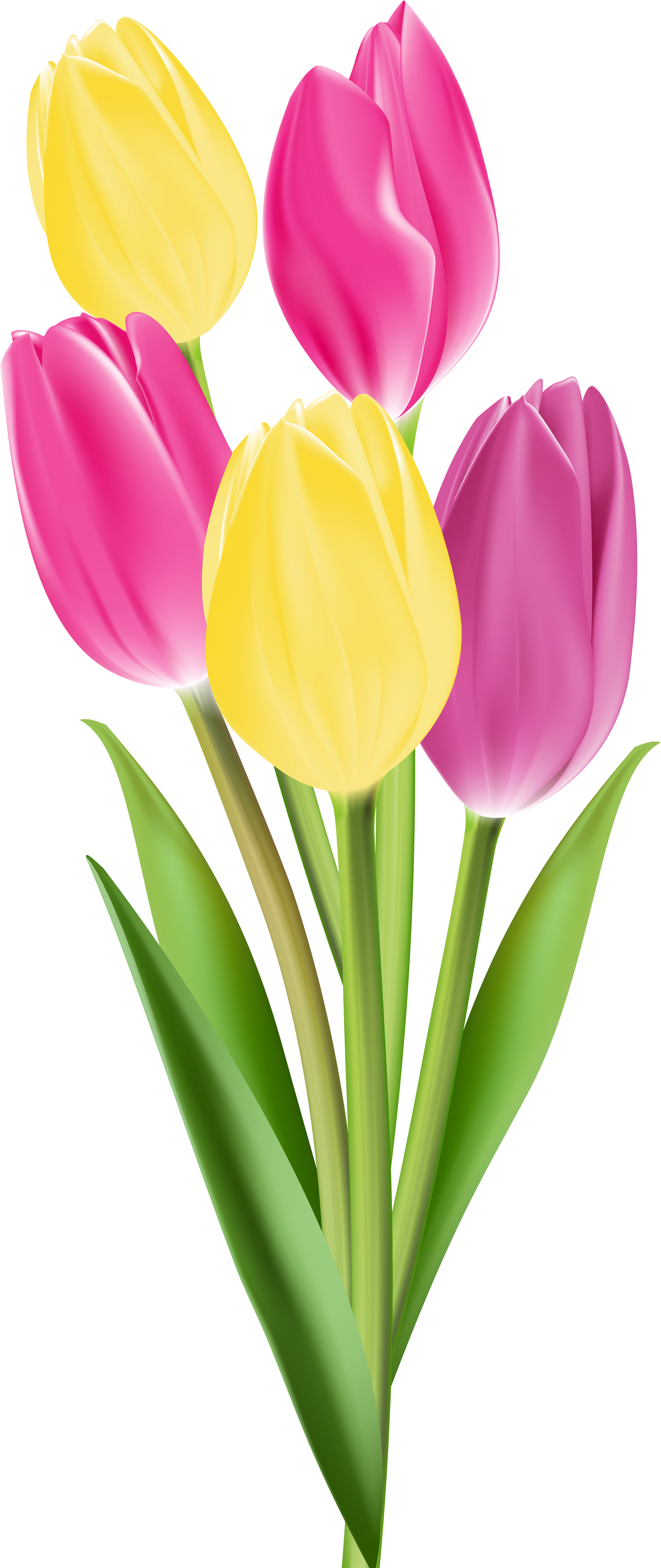 Flower Images, Flower Clips, Flower Art, Flower Crafts, - Yellow Single Tulip Png (265x600), Png Download