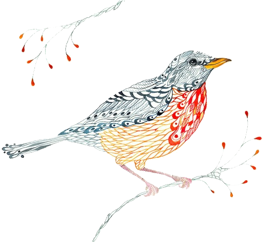 Bird European Robin Visual Arts Watercolor Painting - Drawing (600x476), Png Download