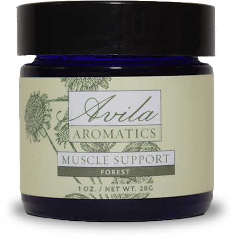 Forest Muscle Support (1000x1000), Png Download