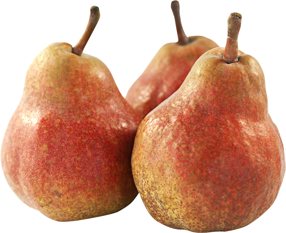 Pear Fruit Png Transparent Image - Png Fruit (1248x1035), Png Download