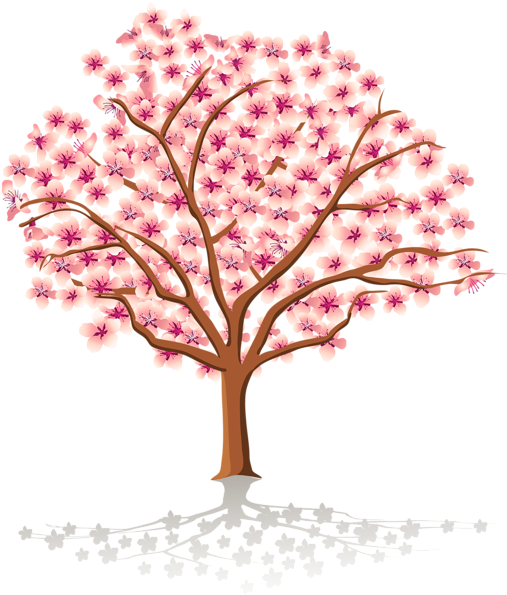 Watercolor Floral Clipart Cherry Blossom Watercolor - Transparent Background Cherry Blossom Tree Clipart (518x600), Png Download