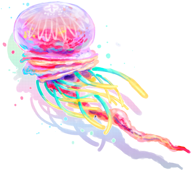 Jellyfish Png Clipart - Jellyfish Png (800x661), Png Download
