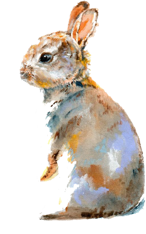 Clip Free Download Bugs Drawing Watercolor - Bunny Watercolor (564x871), Png Download
