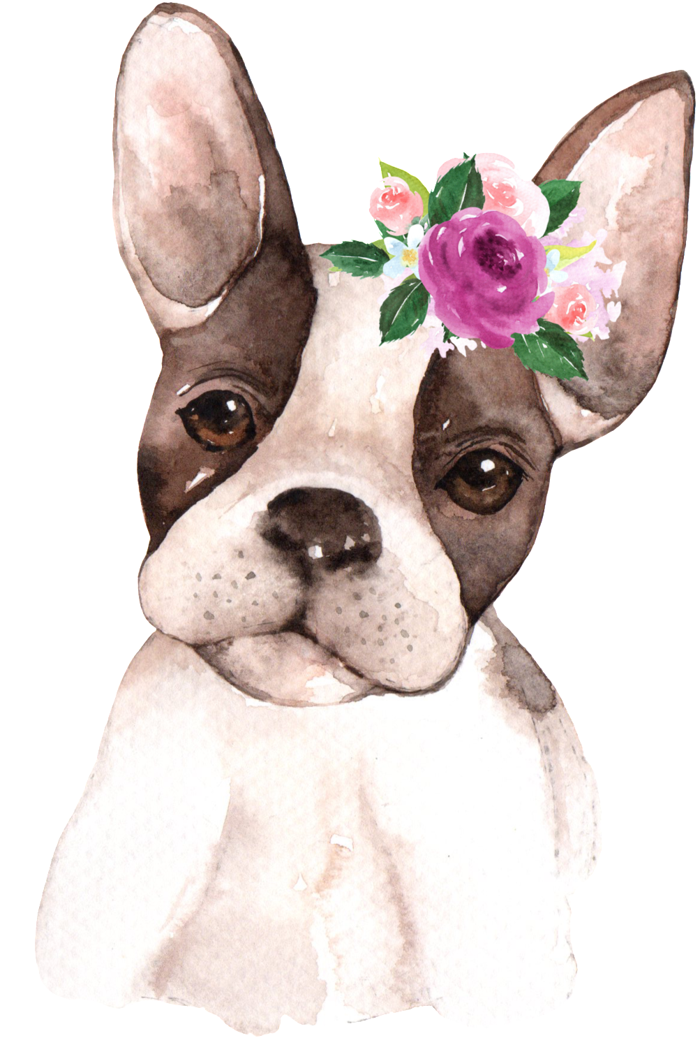 Hand Painted Starling Pet Dog Png Transparent - Animals With Flower Crowns (1024x1536), Png Download