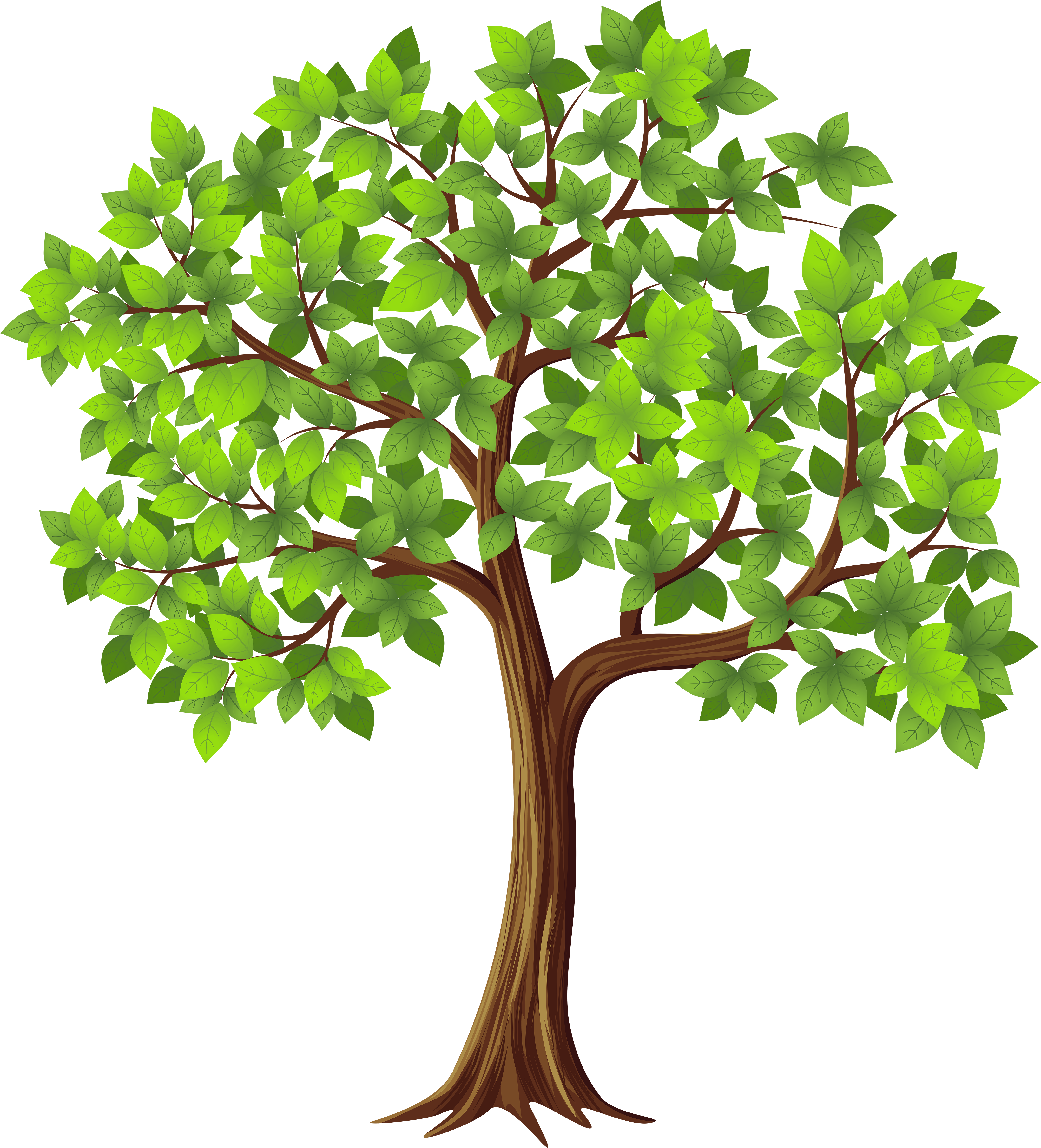 Graphic Transparent Download Png Clip Art Image Gallery - Tree Clipart Transparent (5440x6000), Png Download