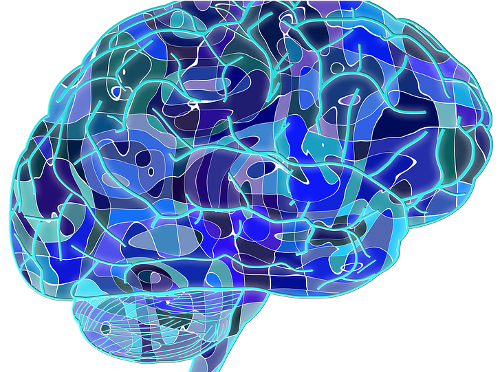 Crowdfunding Psychology - Neuroscience Png (960x540), Png Download