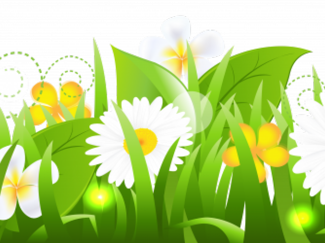 Free On Dumielauxepices Net Gress - Happy Wednesday (640x480), Png Download